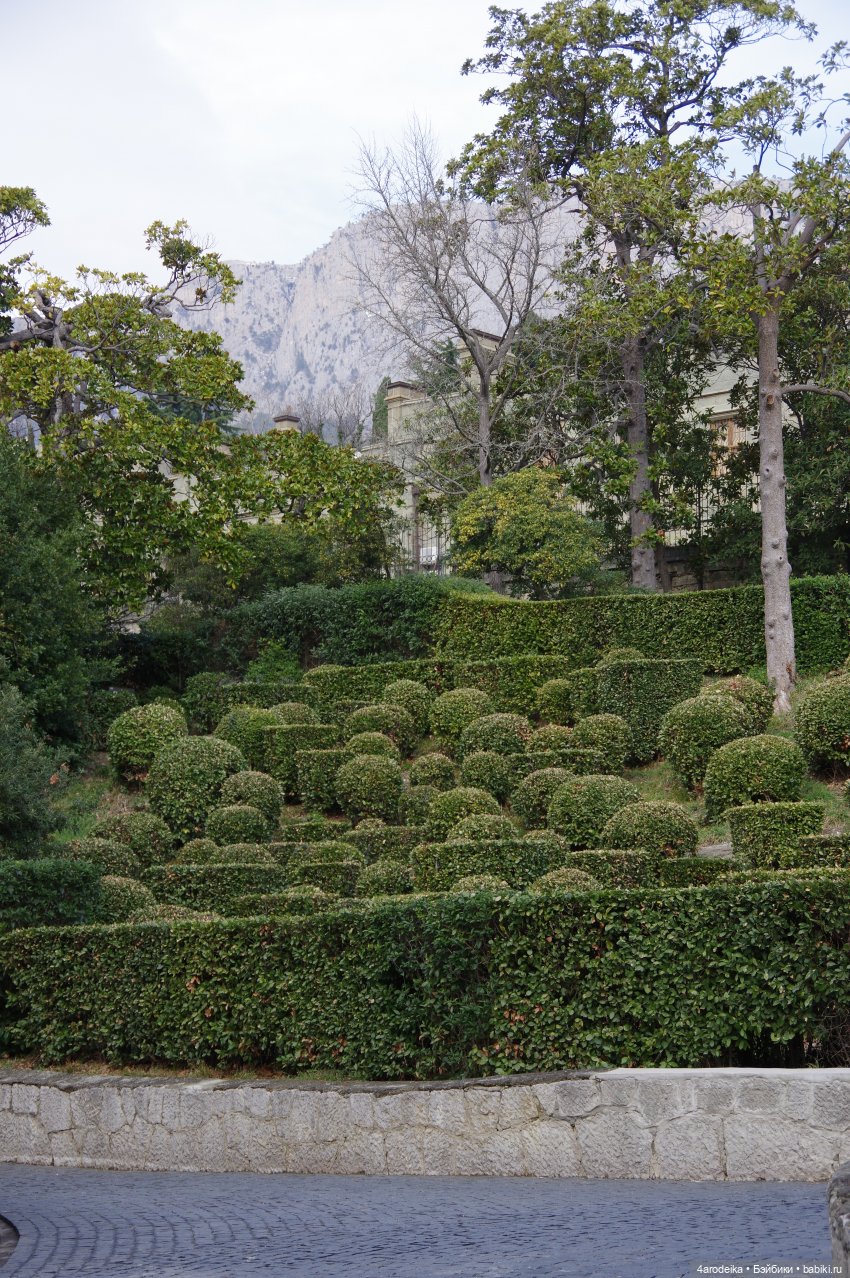 Парк Воронцовского дворца (фото 6)