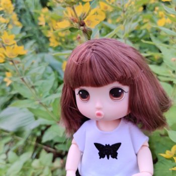 Июльская прогулка корейской девочки в Беларуси