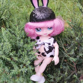 Прогулка на блошиный рынок.  Неожиданные новые жители.