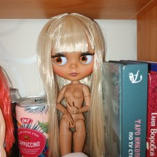 Блайз шарнирная