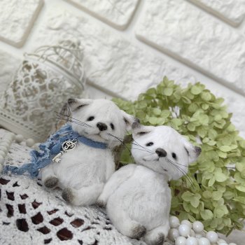 Полярные лисы🦊