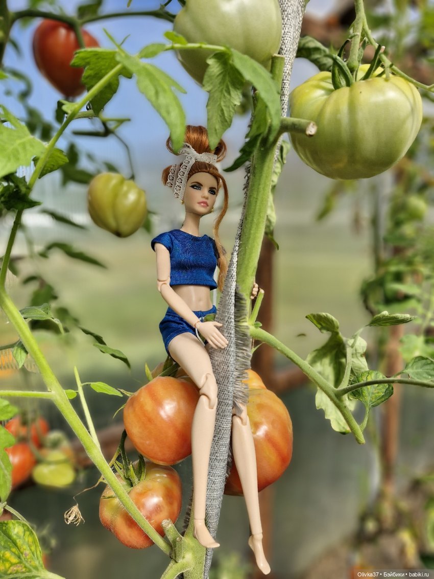 Коллекции шарнирных (фото 7)