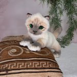 Котёнок светлый