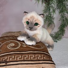 Котёнок светлый