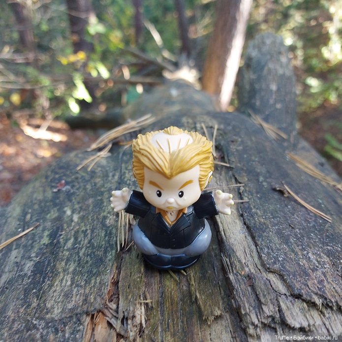 Питер Петтигрю, Гарри Поттер, Little People, Mattel