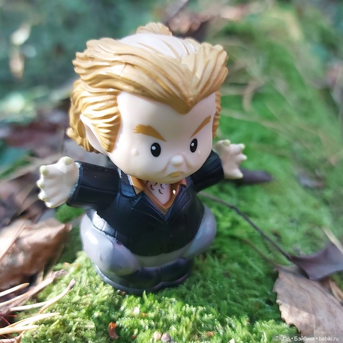 Питер Петтигрю, Гарри Поттер, Little People, Mattel