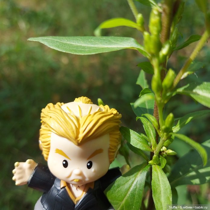 Питер Петтигрю, Гарри Поттер, Little People, Mattel