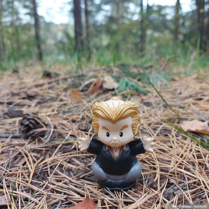 Питер Петтигрю, Гарри Поттер, Little People, Mattel