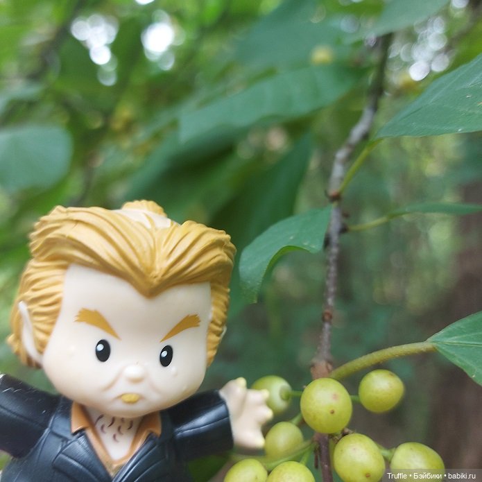 Питер Петтигрю, Гарри Поттер, Little People, Mattel