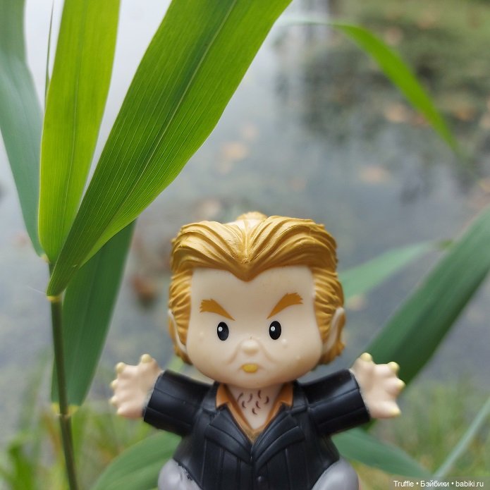 Питер Петтигрю, Гарри Поттер, Little People, Mattel