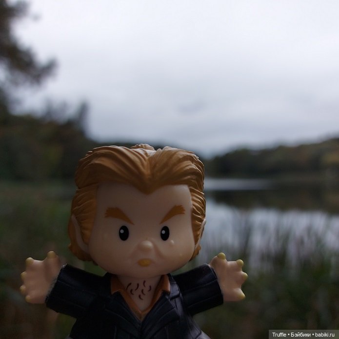 Питер Петтигрю, Гарри Поттер, Little People, Mattel