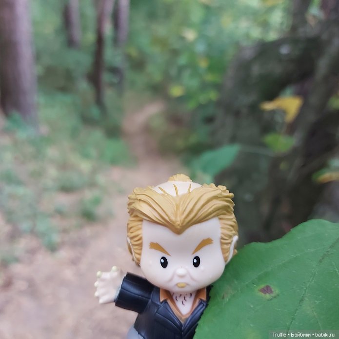 Питер Петтигрю, Гарри Поттер, Little People, Mattel