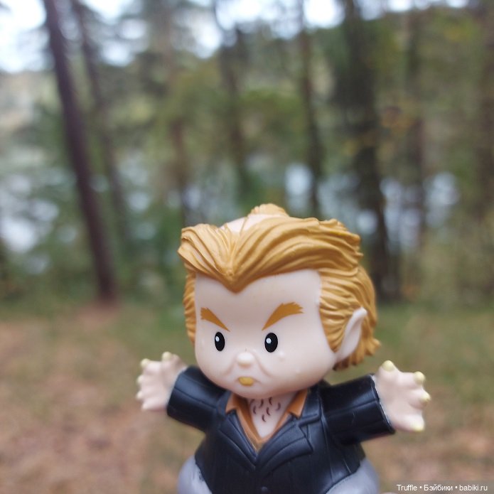 Питер Петтигрю, Гарри Поттер, Little People, Mattel