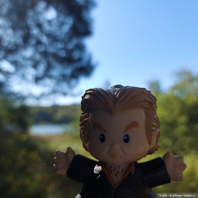 Питер Петтигрю, Гарри Поттер, Little People, Mattel