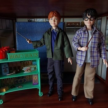 Гарри и Рон