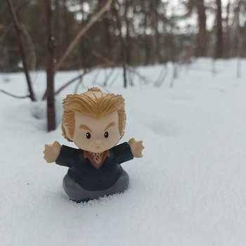 Снежная прогулка с Питером