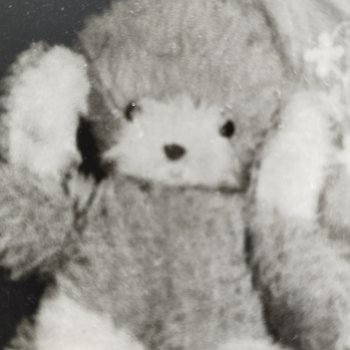 Найти информацию о игрушке