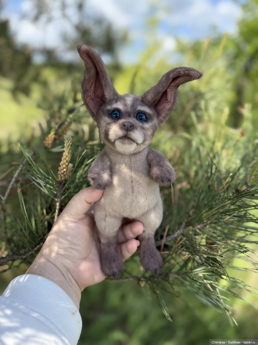 Карманный кенгуренок