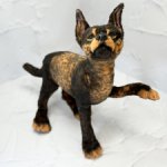 Ягуаровая собака ПАРАИБЫ