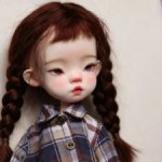 Fufu H.minor Full set