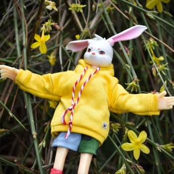 Ловим солнышко