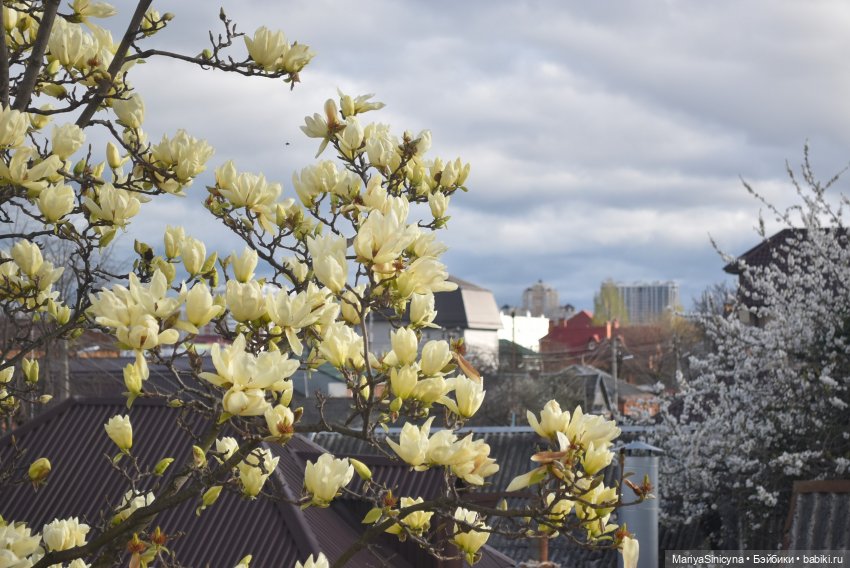 Весенняя прогулка Эленор — Азиатские виниловые куклы (разное): Китай (фото 6)