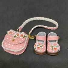 Туфли и сумка для Блайз