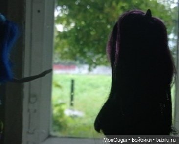 "Отныне этой дружбе конец" (фото 2)