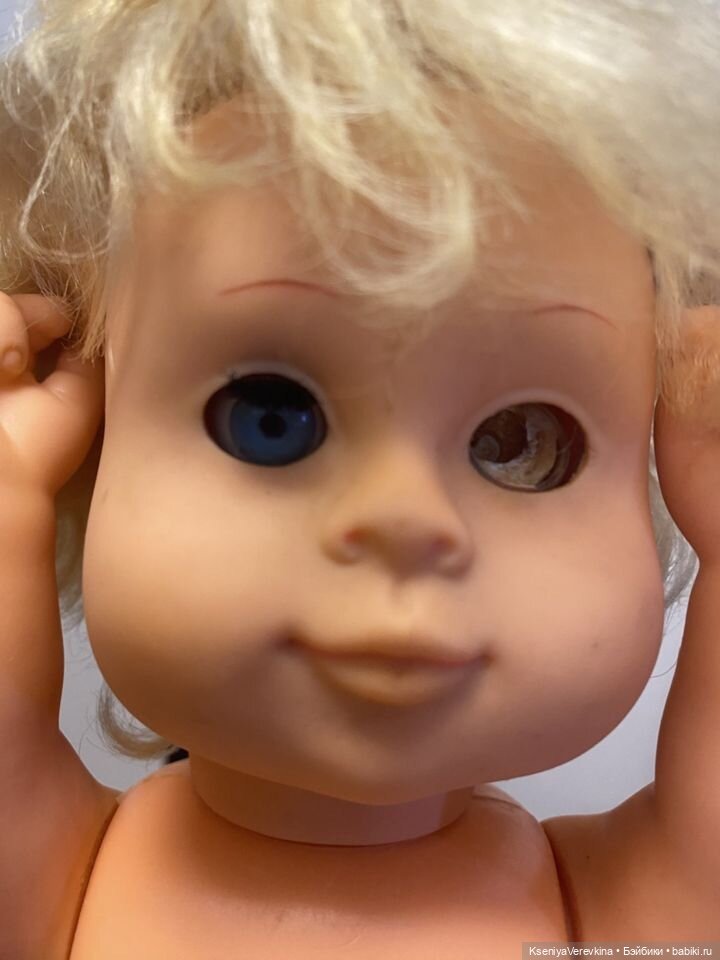 Познакомлю вас с милейшим Платошей (фото 3)