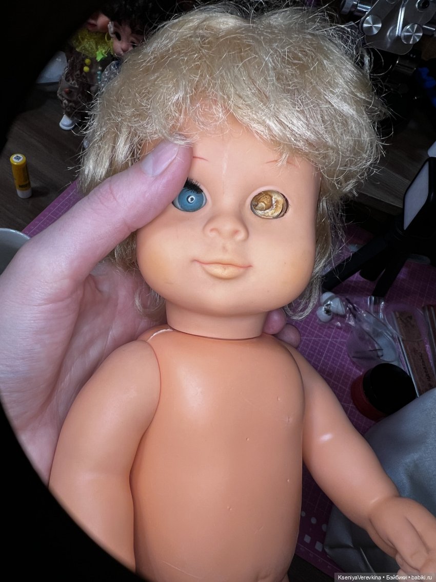 Познакомлю вас с милейшим Платошей (фото 5)