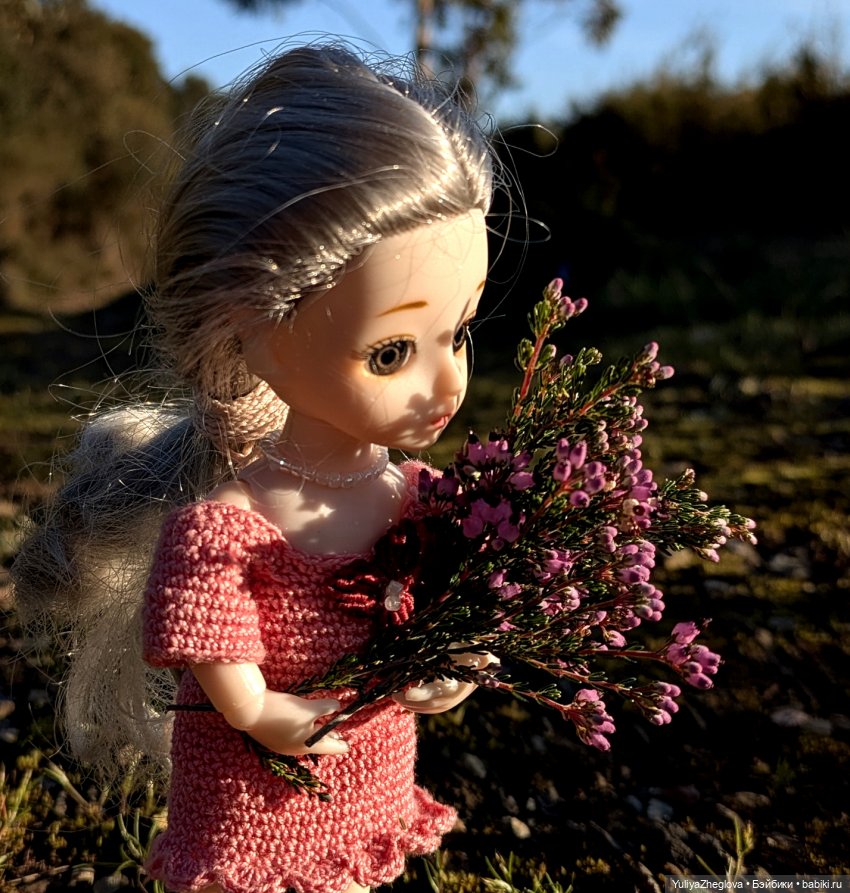 Путешествие Сильвии к весенним первоцветам