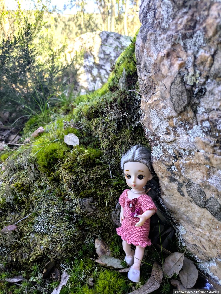 Путешествие Сильвии к весенним первоцветам