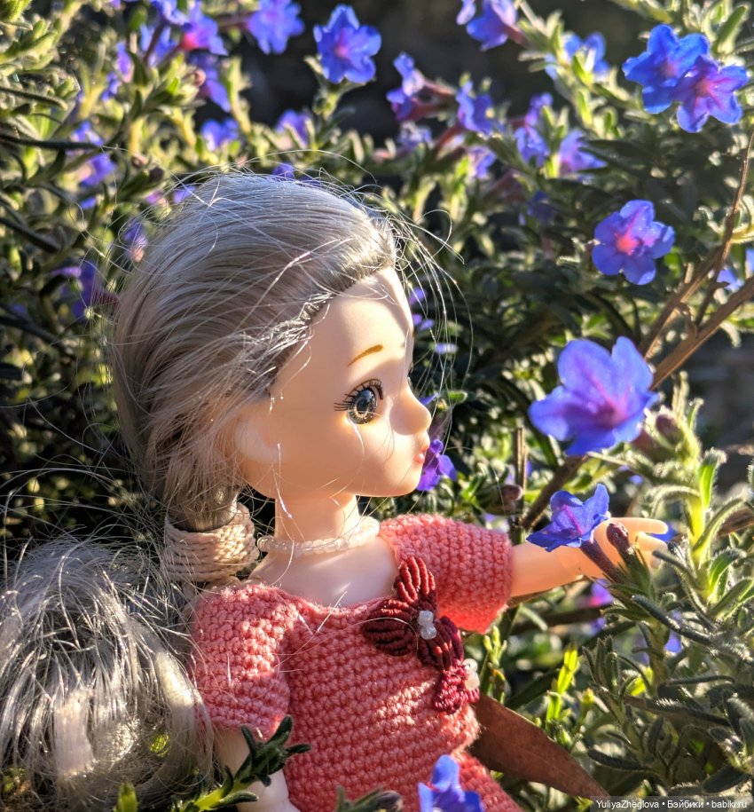 Путешествие Сильвии к весенним первоцветам