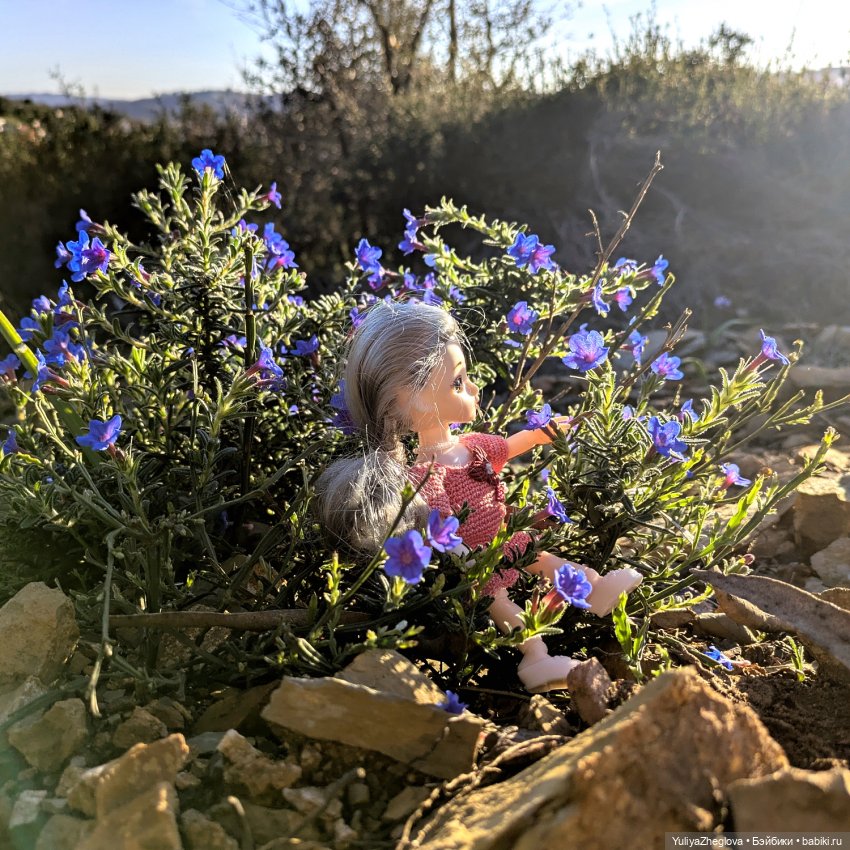 Путешествие Сильвии к весенним первоцветам