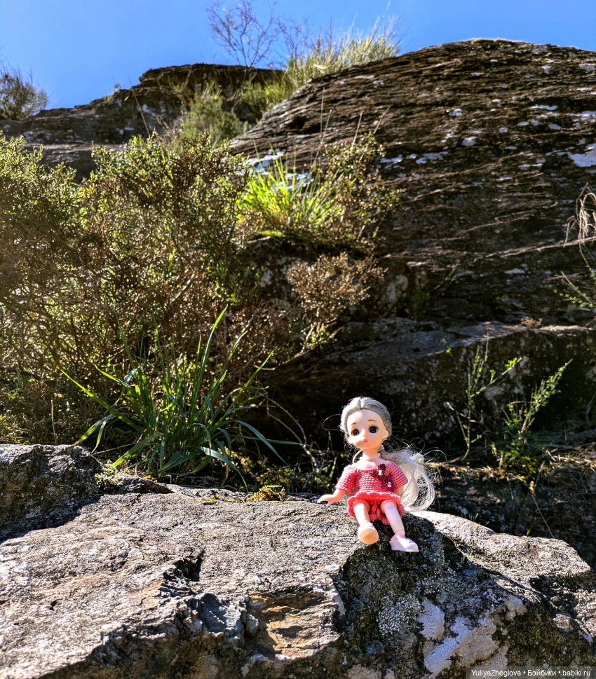 Путешествие Сильвии к весенним первоцветам (фото 4)