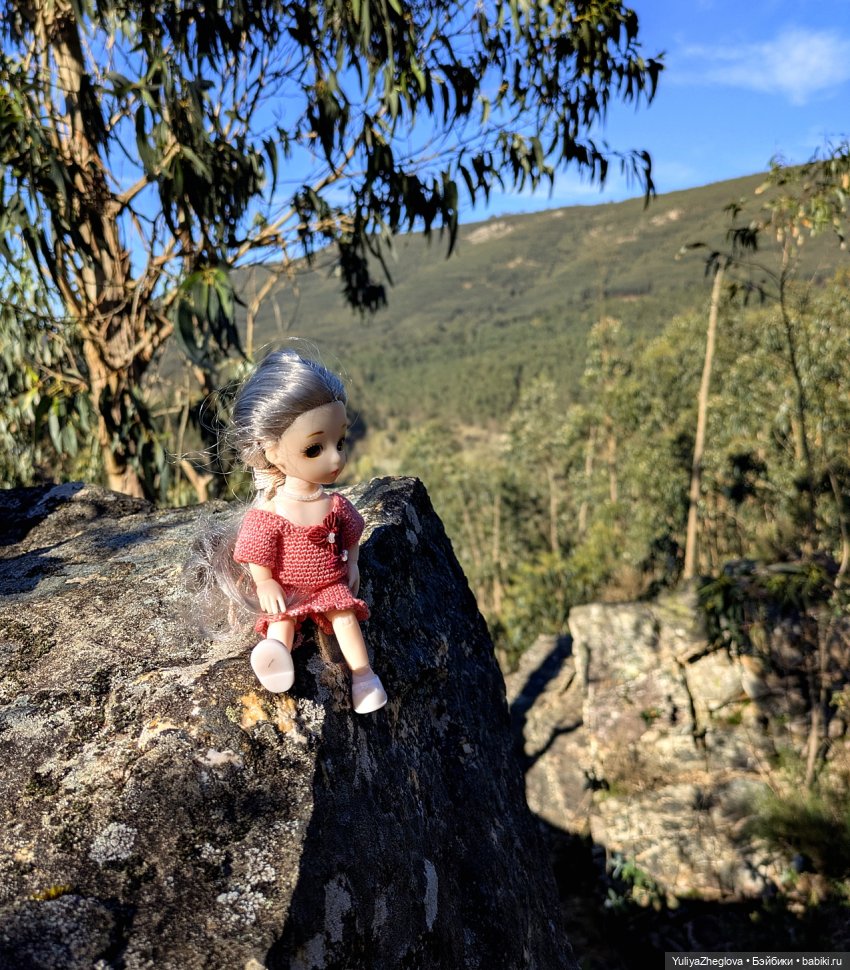 Путешествие Сильвии к весенним первоцветам