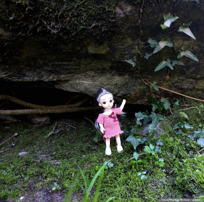 Путешествие Сильвии к весенним первоцветам (фото 9)