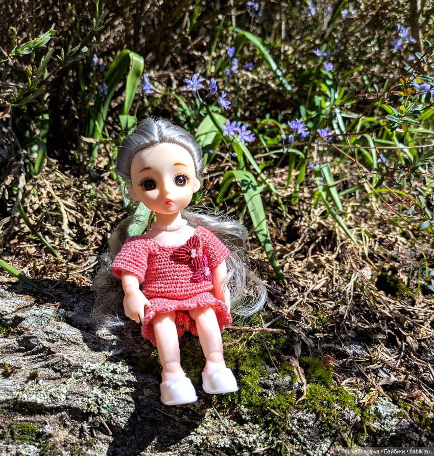 Путешествие Сильвии к весенним первоцветам (фото 2)