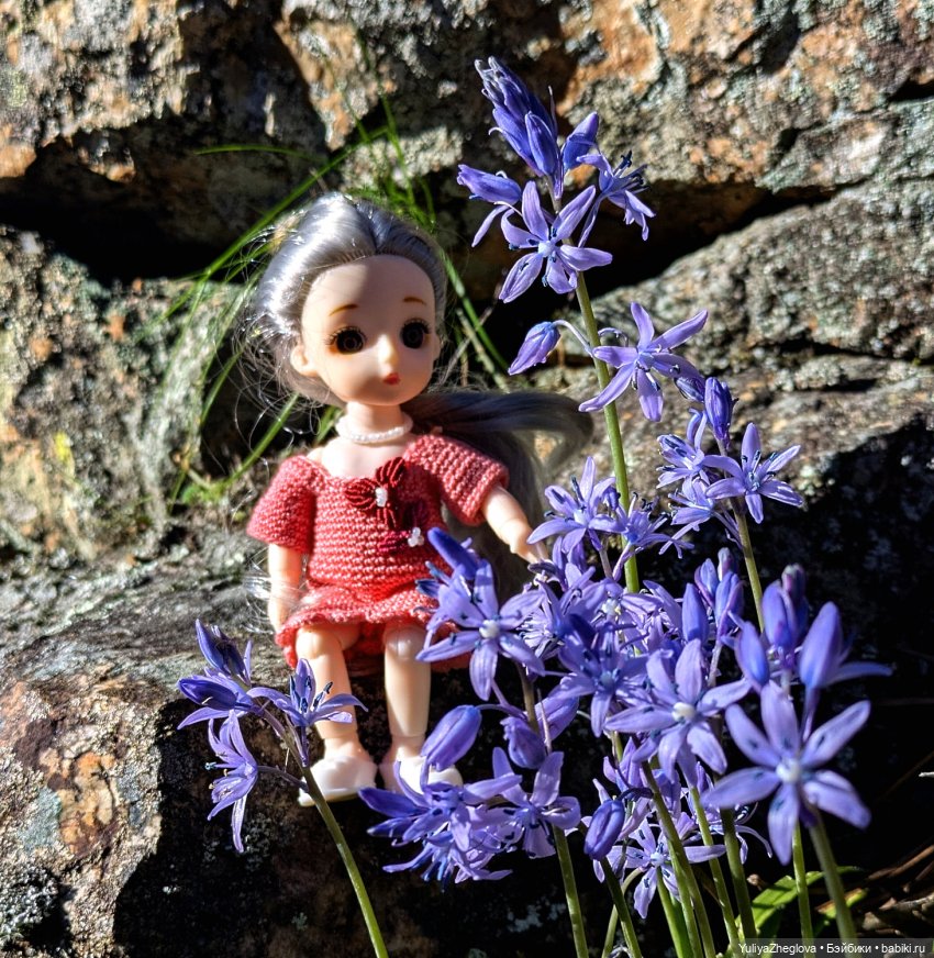 Путешествие Сильвии к весенним первоцветам