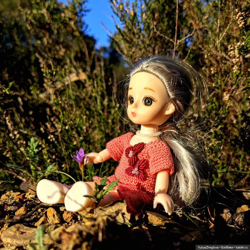 Путешествие Сильвии к весенним первоцветам