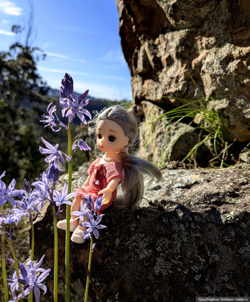 Путешествие Сильвии к весенним первоцветам