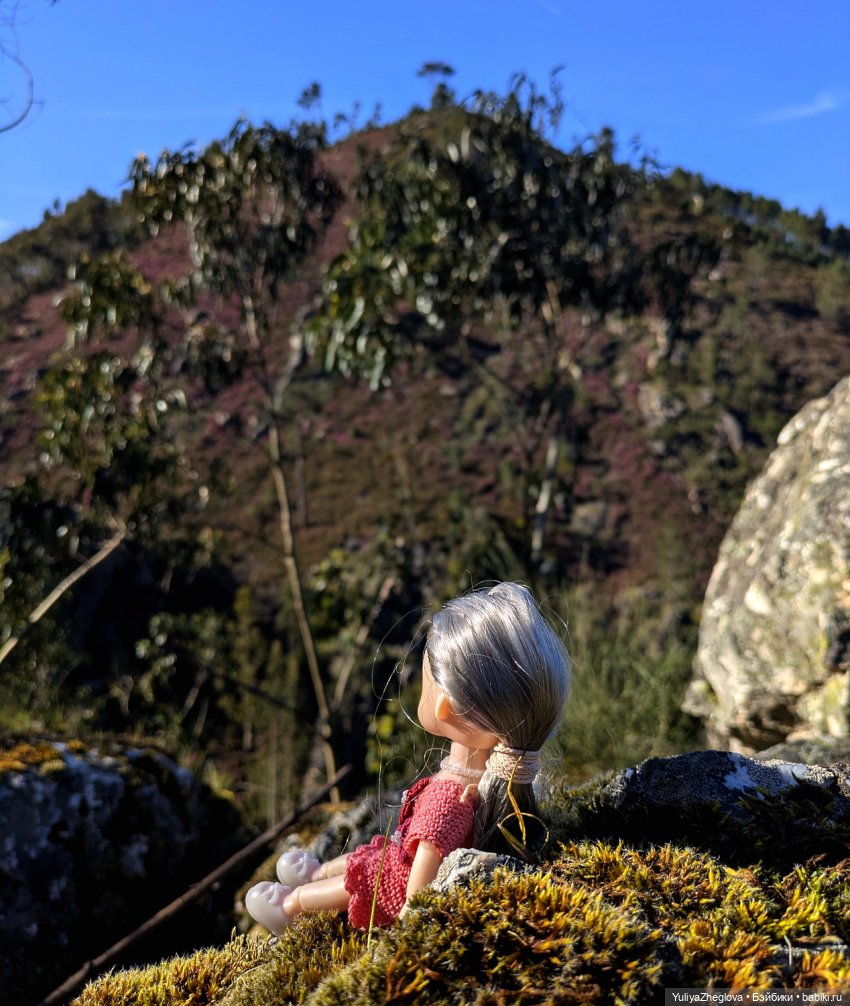 Путешествие Сильвии к весенним первоцветам