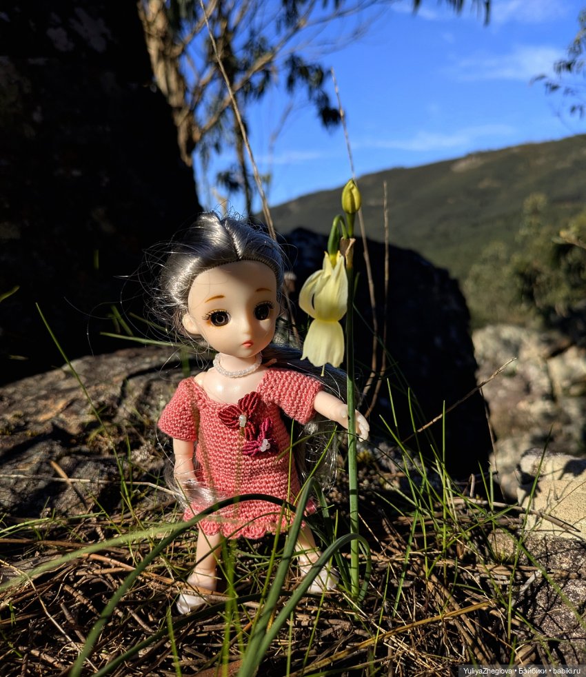 Путешествие Сильвии к весенним первоцветам