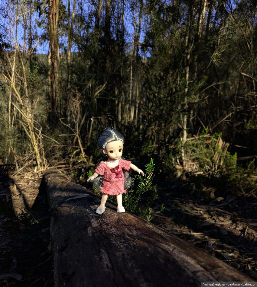 Путешествие Сильвии к весенним первоцветам