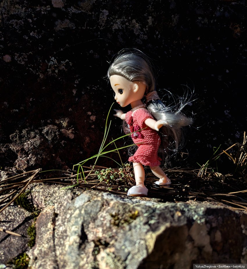 Путешествие Сильвии к весенним первоцветам