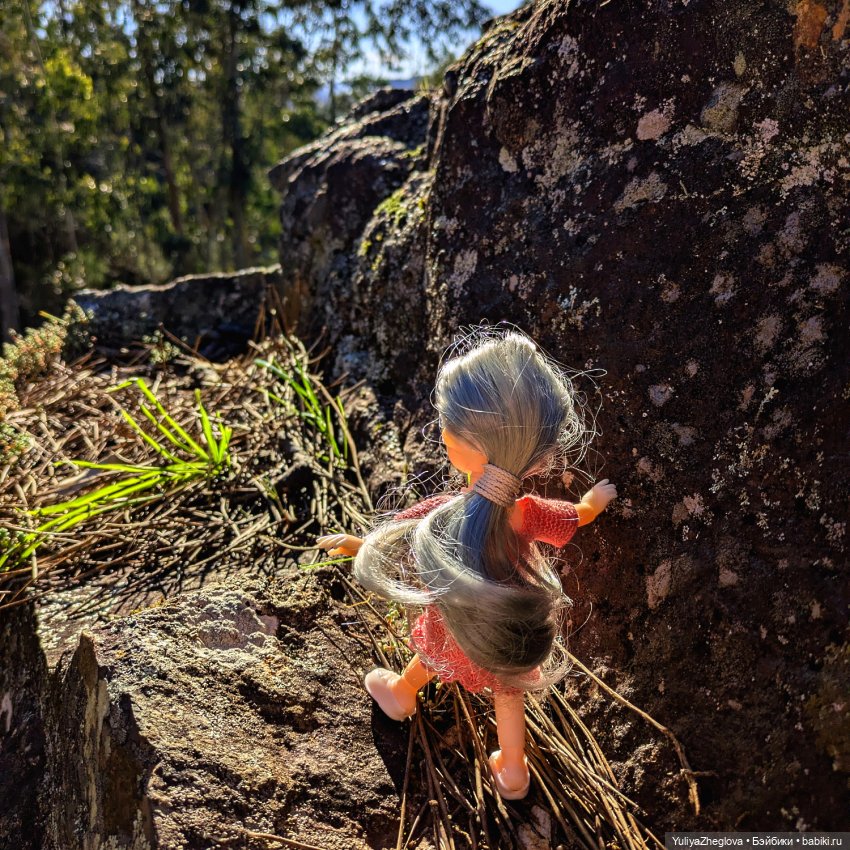 Путешествие Сильвии к весенним первоцветам