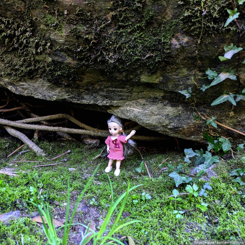 Путешествие Сильвии к весенним первоцветам