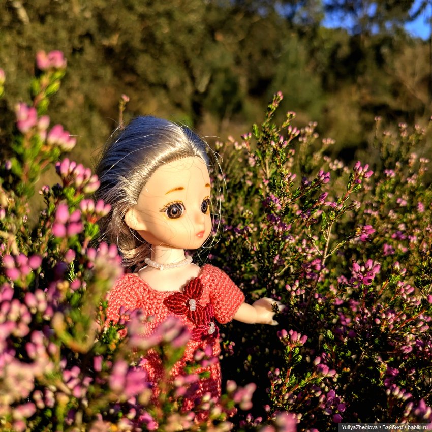 Путешествие Сильвии к весенним первоцветам