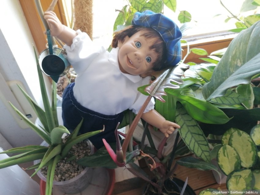 Инструкция по выживанию: Что делать, если в доме поселился «характерный» испанец (фото 4)