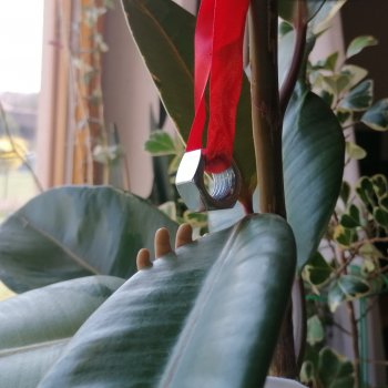 Винил-Сити: Серия №3. Пикник на обочине следствия» 🕵️‍♂️🌿☕